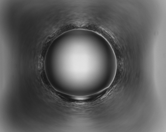 X0000096131349200801181104