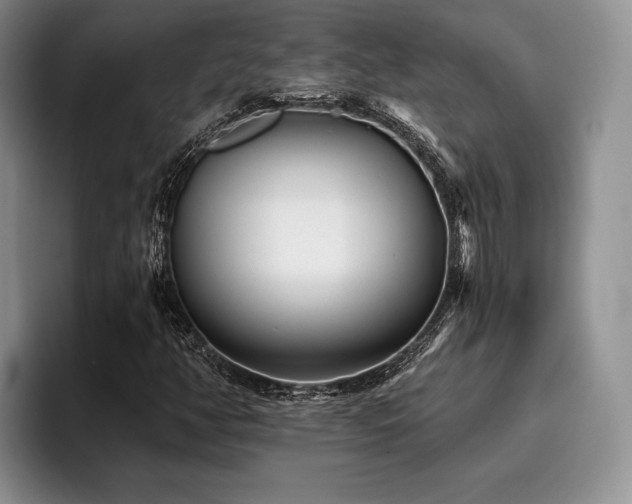 X0000096131350200801181104