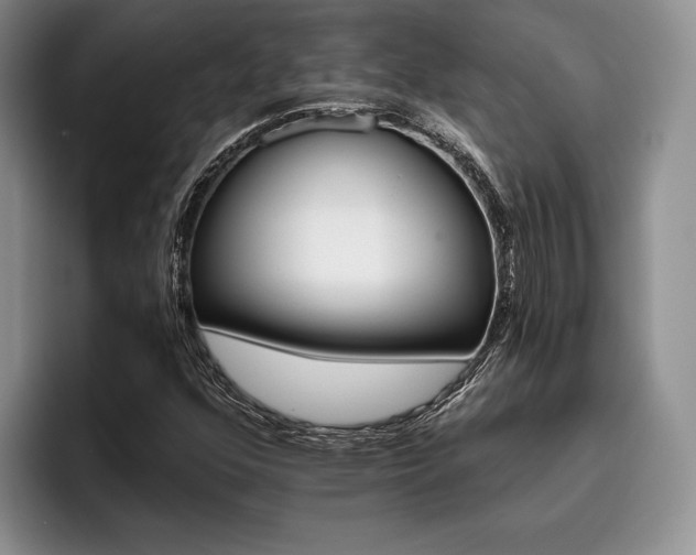 X0000096131352200801181104