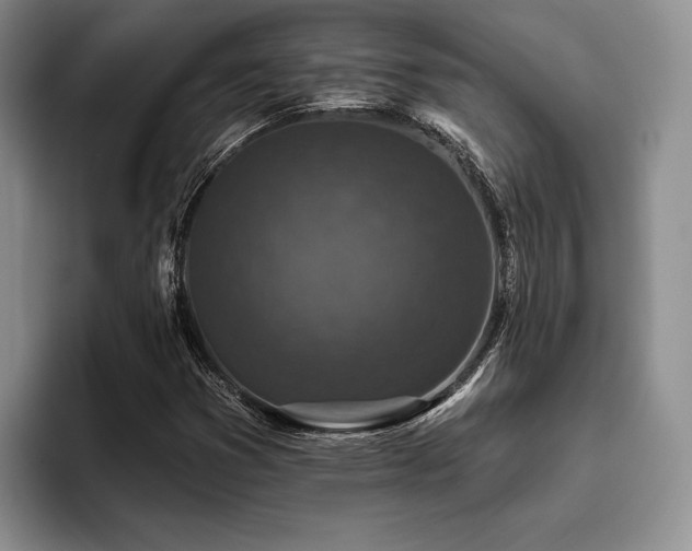 X0000096131353200801181104