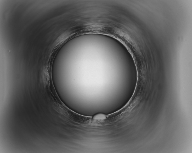 X0000096131354200801181104