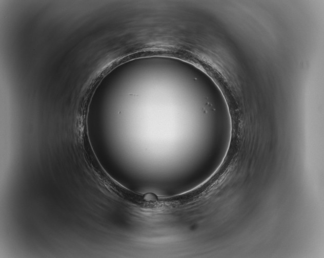 X0000096131355200801181104
