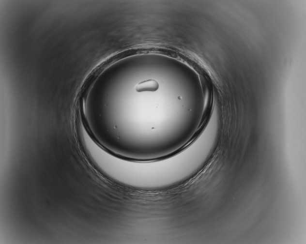 X0000096131356200801181104