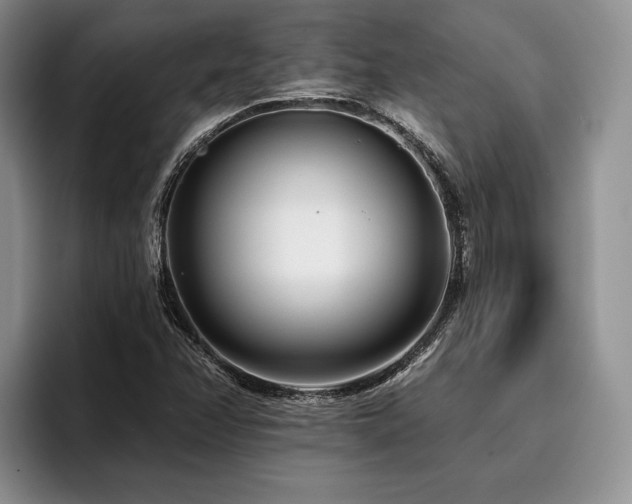 X0000096131358200801181104
