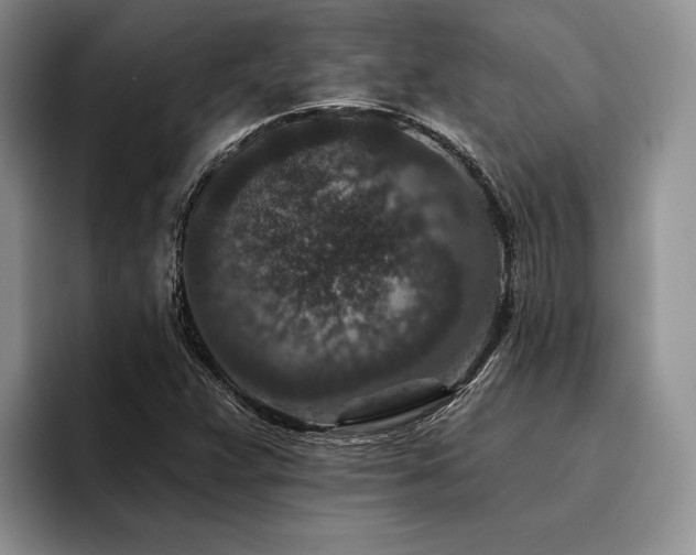 X0000096131359200801181104