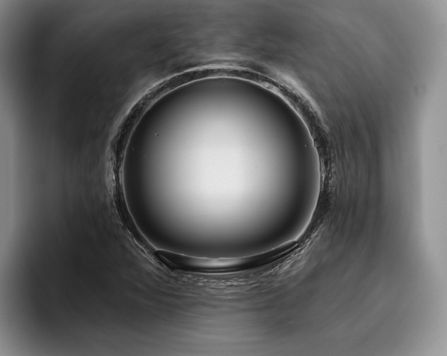 X0000096131360200801181104