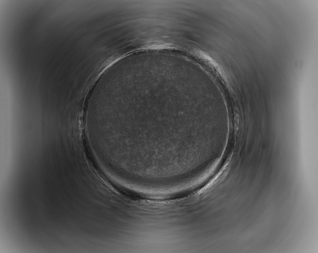 X0000096131361200801181104