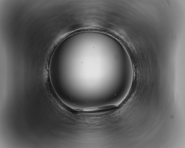 X0000096131363200801181104