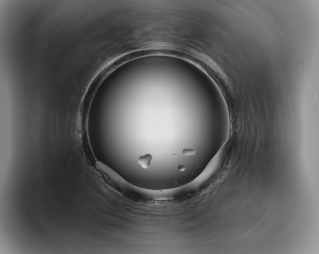 X0000096131364200801181104