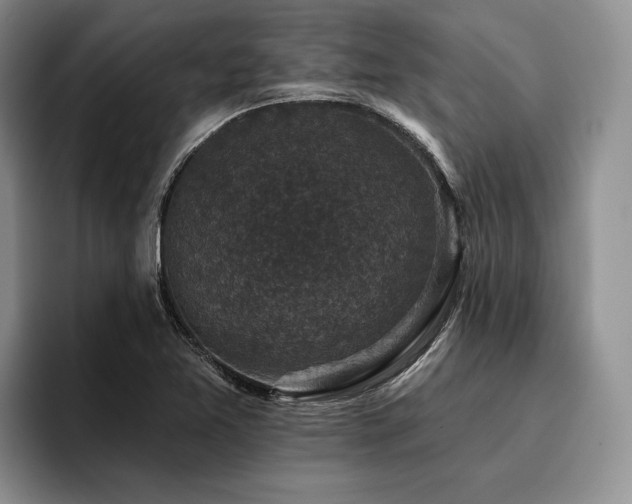 X0000096131365200801181104
