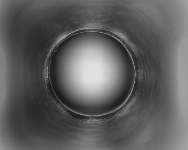 X0000096131366200801181104