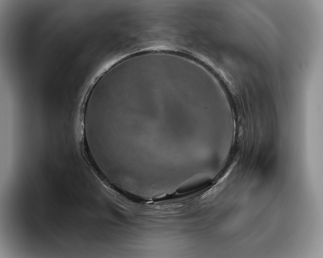 X0000096131367200801181104