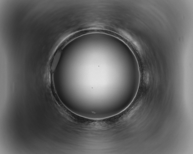 X0000096131368200801181104