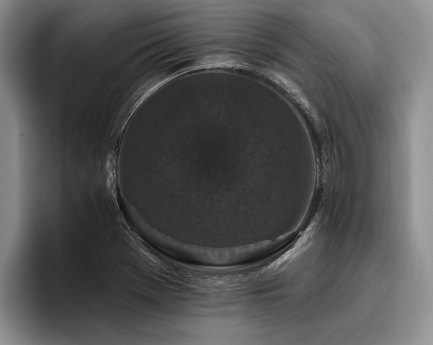 X0000096131369200801181104