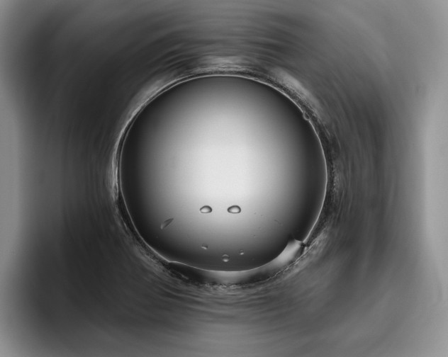 X0000096131370200801181104