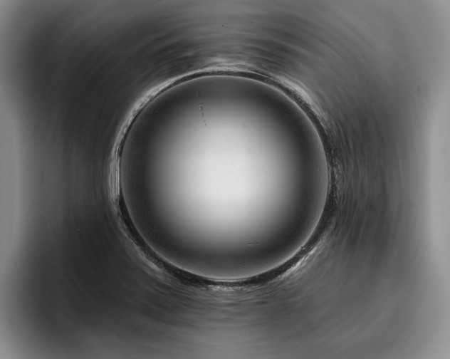 X0000096131371200801181104
