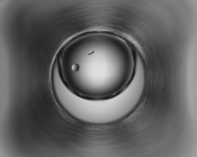 X0000096131372200801181104