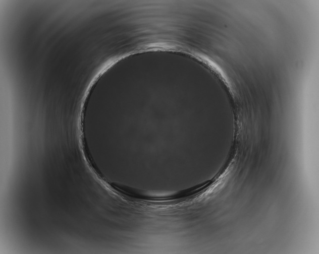 X0000096131373200801181104