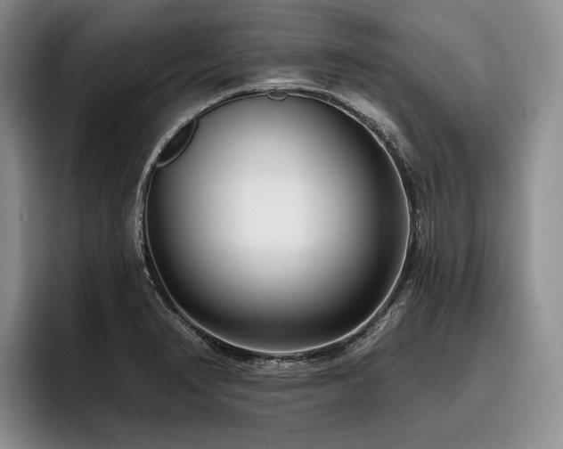 X0000096131374200801181104