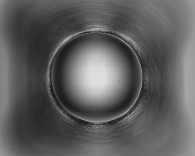 X0000096131375200801181104