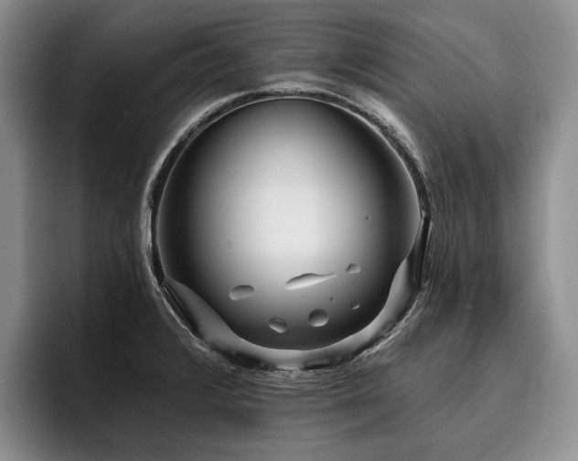 X0000096131376200801181104