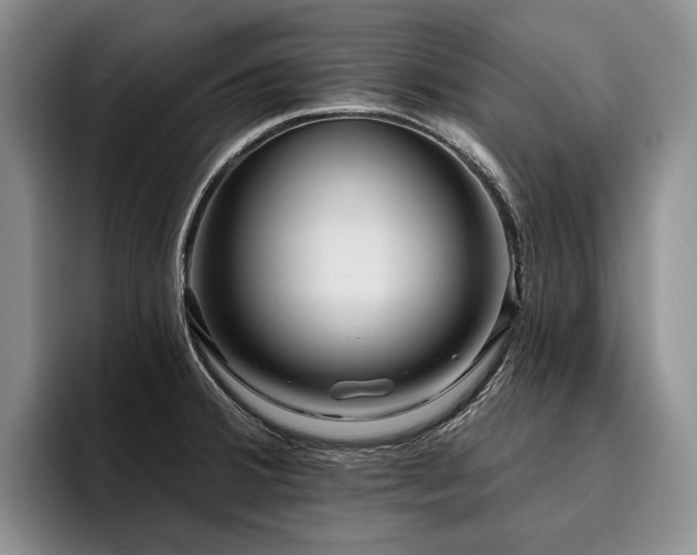 X0000096131380200801181104