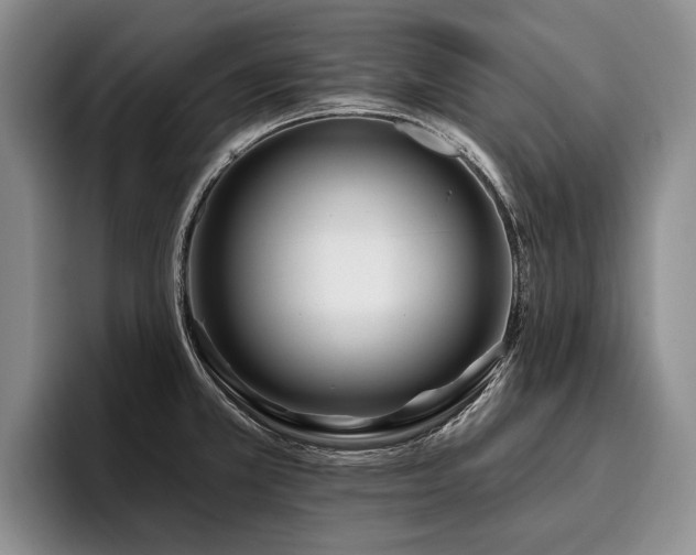 X0000096131381200801181104