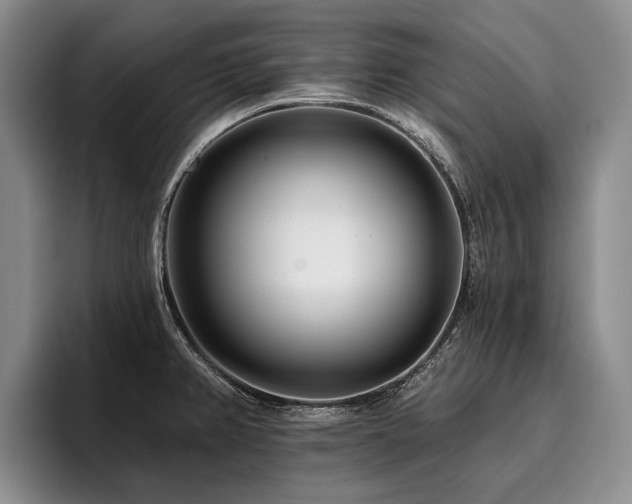 X0000096131382200801181104