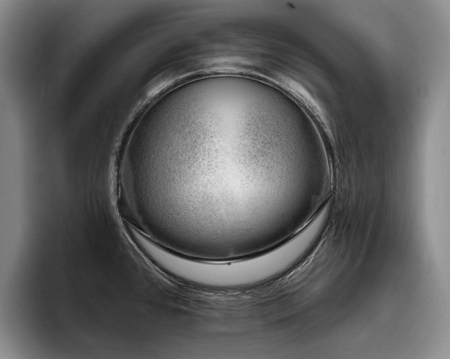 X0000096131384200801181104