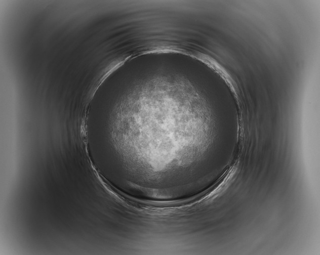 X0000096131385200801181104