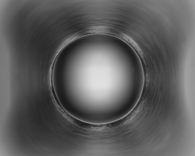 X0000096131386200801181104