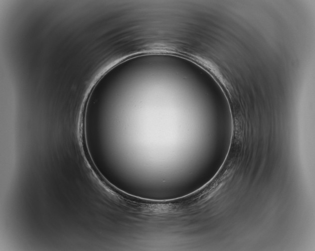 X0000096131387200801181104