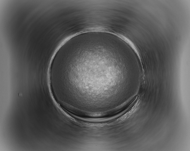 X0000096131389200801181104