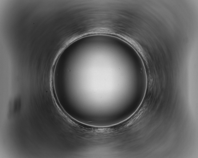 X0000096131390200801181104