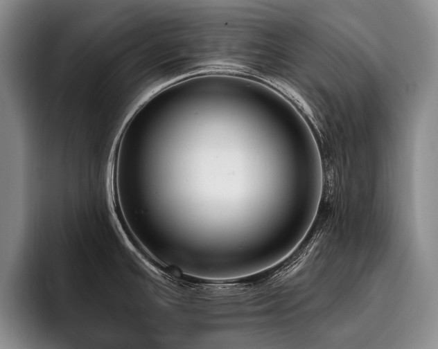 X0000096131391200801181104