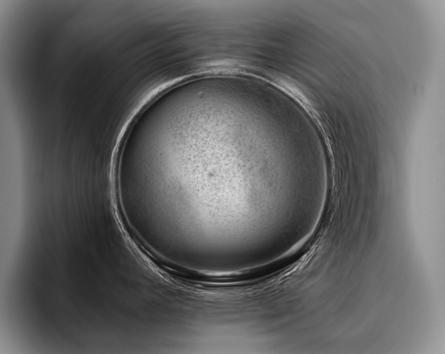 X0000096131392200801181104
