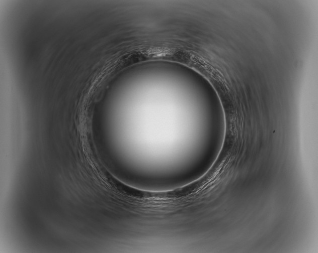 X0000096131393200801181103