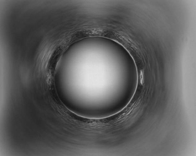 X0000096131395200801181103
