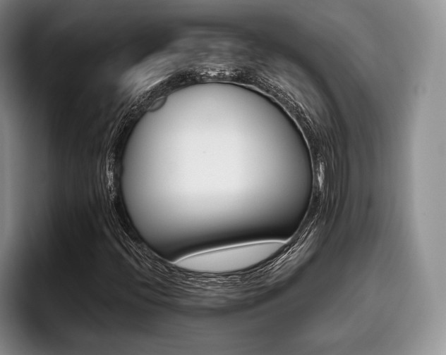 X0000096131396200801181103