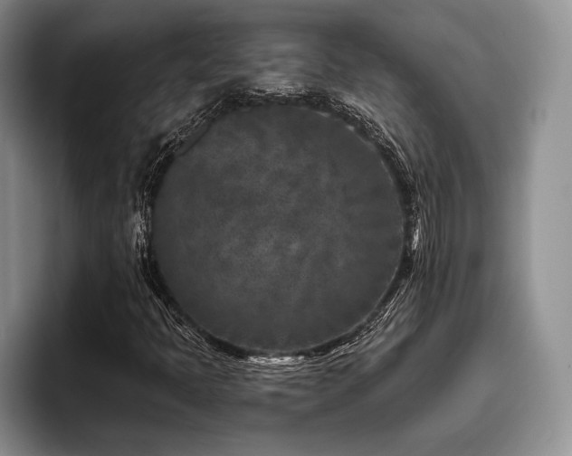 X0000096131397200801181103