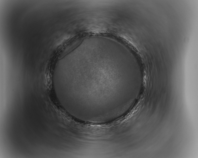 X0000096131398200801181103