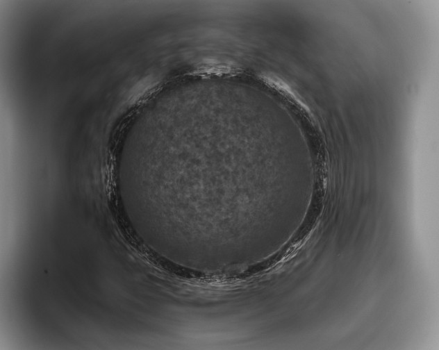 X0000096131399200801181103