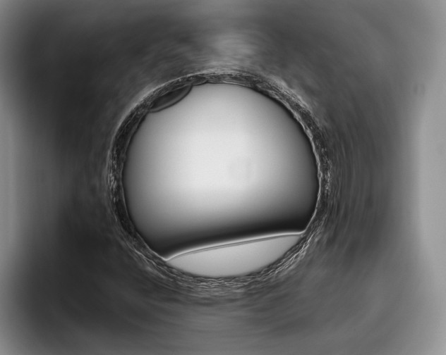 X0000096131400200801181103