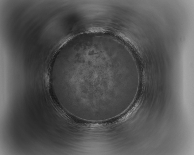 X0000096131401200801181103