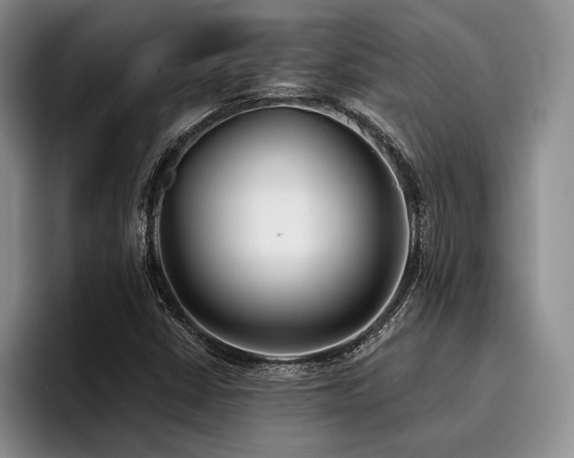 X0000096131402200801181103