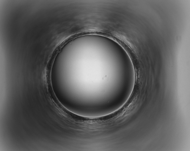 X0000096131404200801181103