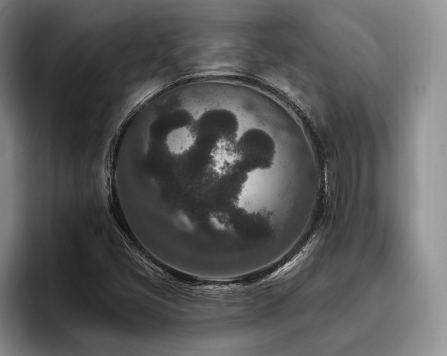 X0000096131405200801181103