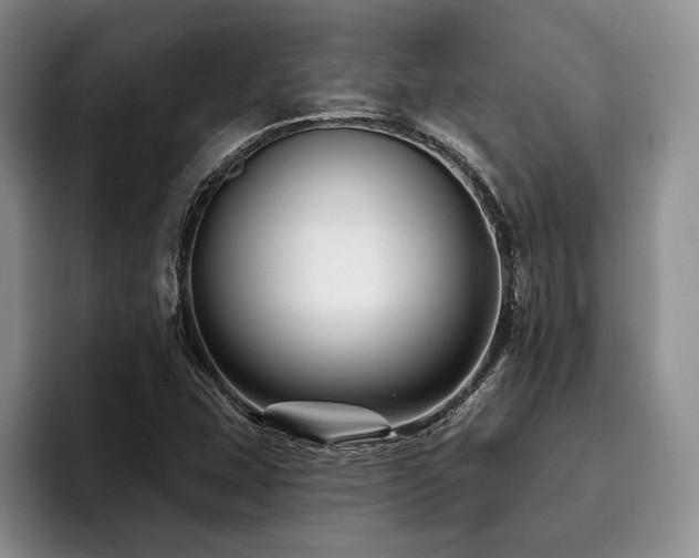 X0000096131407200801181103
