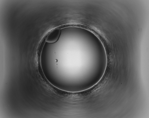 X0000096131408200801181103