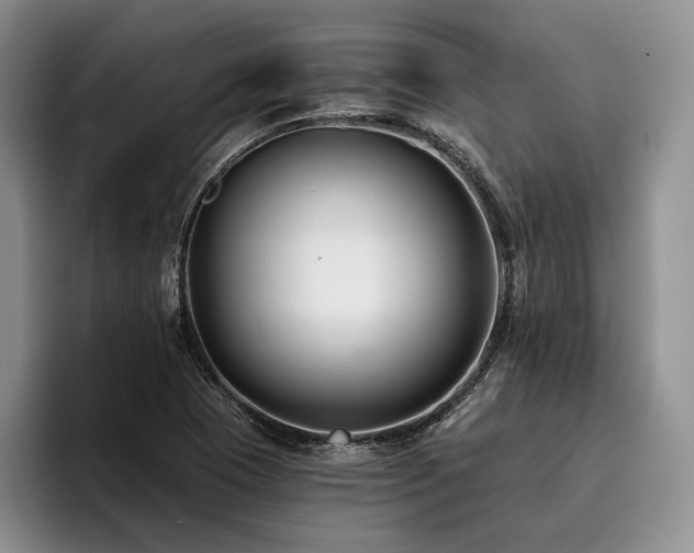 X0000096131409200801181103